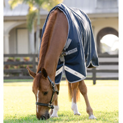 Manta de invierno impermeable para caballo 250g