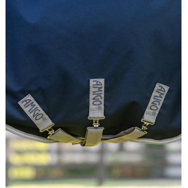 Manta de invierno impermeable para caballo 250g