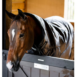 Manta de cuadra Horseware Amigo Ripstop Insulator Plus 200g Negro / negro / plata Manta de cuadra Horseware Amigo Ripstop Insulator Plus 200g Negro / negro / plata