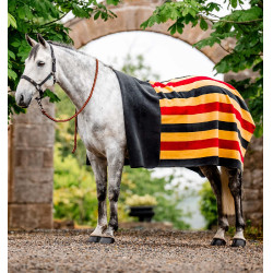 Cuadro polar Horseware Newmarket OrBlanco Negro