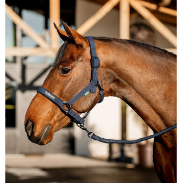 Cabezada y ramal equitación Amigo Horseware