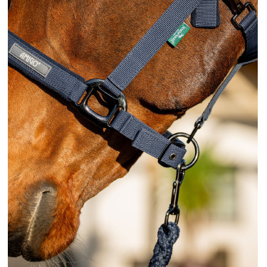 Cabezada y ramal equitación Amigo Horseware