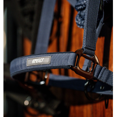 Cabezada y ramal equitación Amigo Horseware