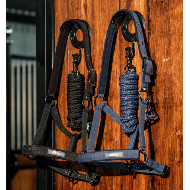 Cabezada y ramal equitación Amigo Horseware