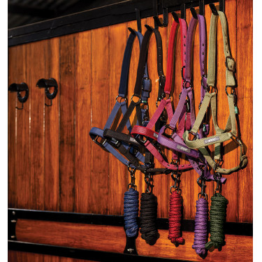 Cabezada y ramal equitación Amigo Horseware