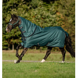 Manta Amigo Ripstop Horseware 900D Plus Turnout 200g Verde dinastía / marino / plata
