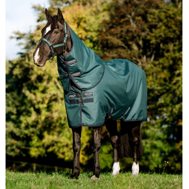 Manta Amigo Ripstop Horseware 900D Plus Turnout 200g Verde dinastía / marino / plata