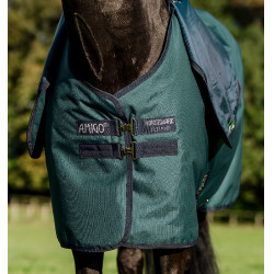 Manta Amigo Ripstop Horseware 900D Plus Turnout 200g Verde dinastía / marino / plata