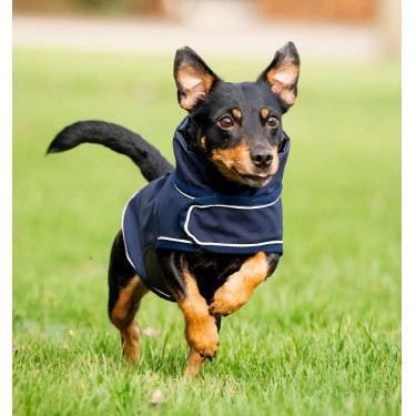 Impermeable ecuestre para perro Horseware 0g