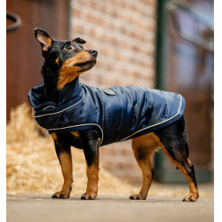 Manta para perro de equitación 200g Horseware