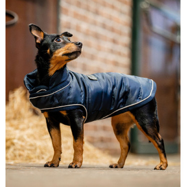 Manta para perro de equitación 200g Horseware
