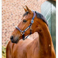 Cabezada Horseware de concurso Signature Marrón / marino Marr&amp;amp;amp;oacute;n