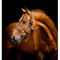 Cabezada de cuero Horseware Signature Castaño Marr&amp;amp;amp;oacute;n