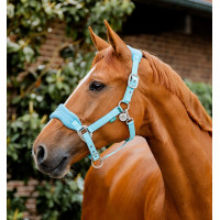 Cabezada Horseware de limpieza Signature Marino Azul marino Cabezada Horseware de limpieza Signature Marino Azul marino