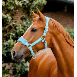 Cabezada Horseware de limpieza Signature Bruma azul