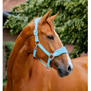 Cabezada Horseware de limpieza Signature Bruma azul