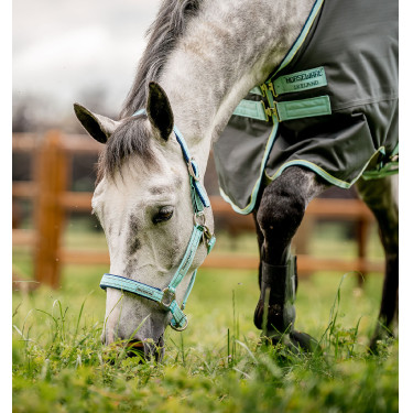 Cabezada Especial de Pasto Horseware® Fieldsafe Bruma azul Cabezada Especial de Pasto Horseware® Fieldsafe Bruma azul