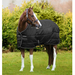 Manta Horseware Amigo Diamond Insulator 100g Negro / negro / plata Manta Horseware Amigo Diamond Insulator 100g Negro / negro / plata
