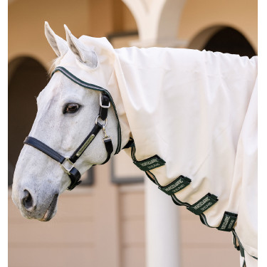 Cobertura integral Horseware Rambo hoody Poni 0g Tiza / verde cazador / plata Blanco