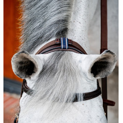 Brida Horseware Micklem 2 Multi Havana oscuro Marrón Brida Horseware Micklem 2 Multi Havana oscuro Marrón