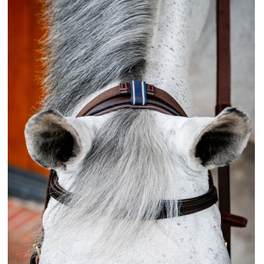 Brida Horseware Micklem 2 Multi Havana oscuro Marrón Brida Horseware Micklem 2 Multi Havana oscuro Marrón