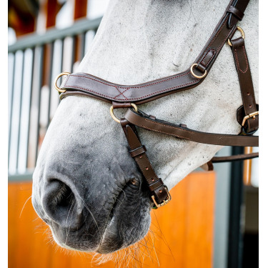 Brida Horseware Micklem 2 Multi Havana oscuro Marrón Brida Horseware Micklem 2 Multi Havana oscuro Marrón