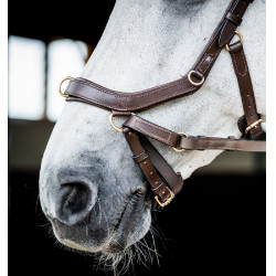 Brida Horseware Micklem 2 Multi Havana oscuro Marrón Brida Horseware Micklem 2 Multi Havana oscuro Marrón