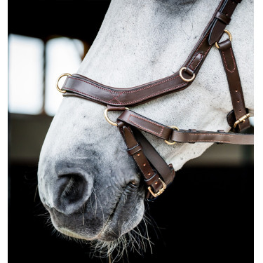 Brida Horseware Micklem 2 Multi Havana oscuro Marrón Brida Horseware Micklem 2 Multi Havana oscuro Marrón