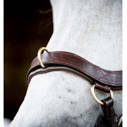 Brida Horseware Micklem 2 Multi Havana oscuro Marrón Brida Horseware Micklem 2 Multi Havana oscuro Marrón