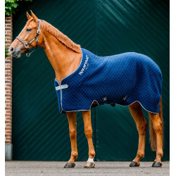 Manta Horseware Autumn Cooler 100g Marino / marino / plata Azul marino Manta Horseware Autumn Cooler 100g Marino / marino / plata Azul marino