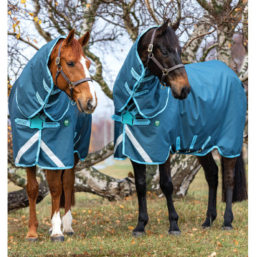 Manta ecológica impermeable para caballo 250g