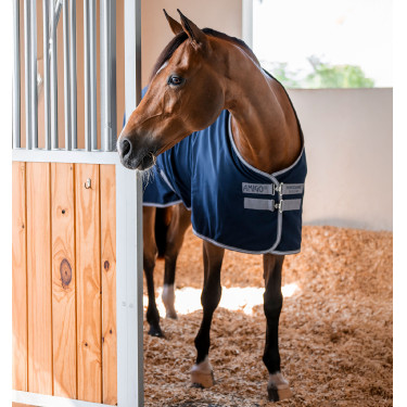 Chemise de box Horseware Amigo Delphinium 0g Chemise de box Horseware Amigo Delphinium 0g