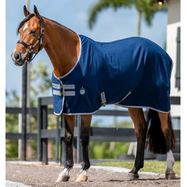 Chemise de box Horseware Amigo Delphinium 0g Chemise de box Horseware Amigo Delphinium 0g