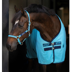 Chemise de box Horseware Amigo Delphinium 0g