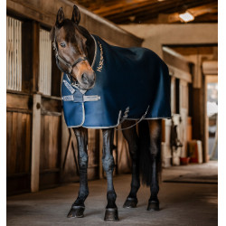 Chemise séchante Horseware Rambo Airmax Cooler Disc Chemise séchante Horseware Rambo Airmax Cooler Disc