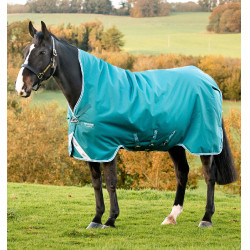 Manta para caballo Horseware High Neck Amigo® Bravo 12 Original 250g 1200D Verde / aqua Manta para caballo Horseware High Neck Amigo® Bravo 12 Original 250g 1200D Verde / aqua