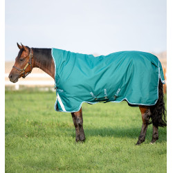 Manta para caballo Horseware High Neck Amigo® Bravo 12 Original 250g 1200D Verde / aqua Manta para caballo Horseware High Neck Amigo® Bravo 12 Original 250g 1200D Verde / aqua