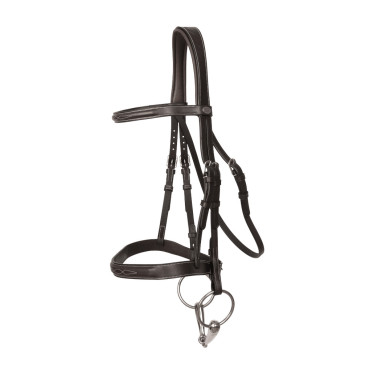 Brida Hunter Dy'on Negro