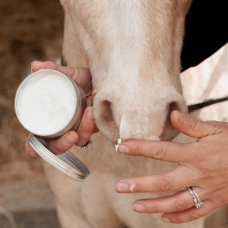 Protector solar equino SPF 30+ Kentucky Sunblock