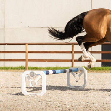 Cavaletti de aluminio Square Grooming Deluxe por Kentucky por 2 Blanco