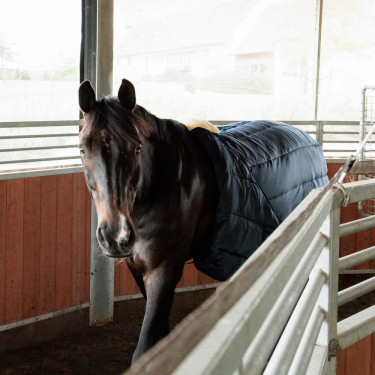 Cinchuelo de caminadora para equitación Kentucky borreguillo Cinchuelo de caminadora para equitación Kentucky borreguillo