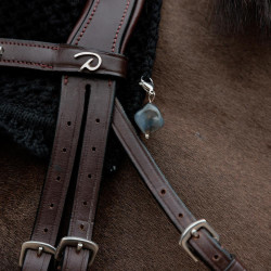 Amuleto ecuestre Kentucky para orejeras – Equi-Clic