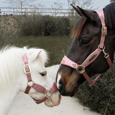 Cabezada de terciopelo con unicornio con purpurina Kentucky Rosa viejo Cabezada de terciopelo con unicornio con purpurina Kentucky Rosa viejo