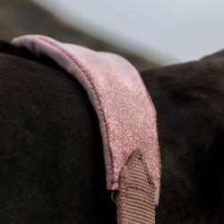 Cabezada de terciopelo con unicornio con purpurina Kentucky Rosa viejo Cabezada de terciopelo con unicornio con purpurina Kentucky Rosa viejo
