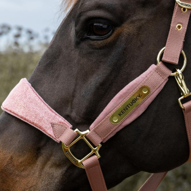 Cabezada de terciopelo con unicornio con purpurina Kentucky Rosa viejo Cabezada de terciopelo con unicornio con purpurina Kentucky Rosa viejo