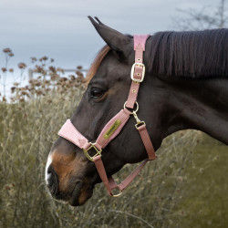Cabezada de terciopelo con unicornio con purpurina Kentucky Rosa viejo Cabezada de terciopelo con unicornio con purpurina Kentucky Rosa viejo