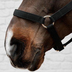 Cabezada de nailon Kentucky Negro