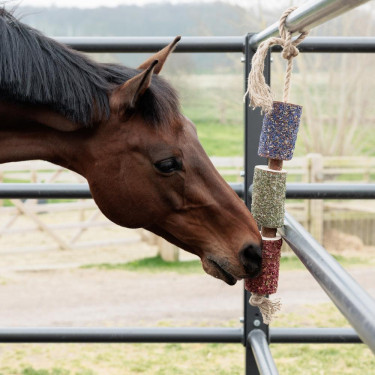 Juguete relajante para caballos Grooming Deluxe | Equitación