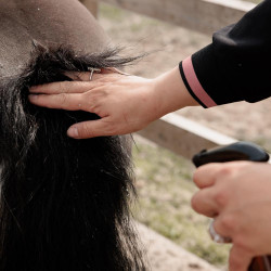 Spray antipicor para caballos Itch Stop Plus Deluxe Spray antipicor para caballos Itch Stop Plus Deluxe
