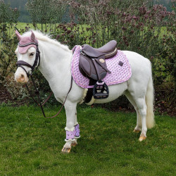 Protectores equitación pony Kentucky Sammy Unicornio